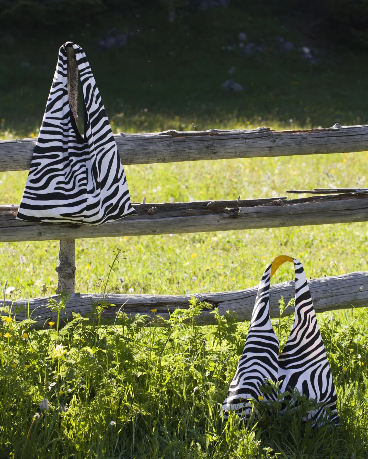 Zebra Mini u travi ispod drvene ograde, sa žutom postavom u drški